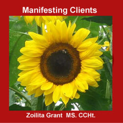 Manifesting Clients